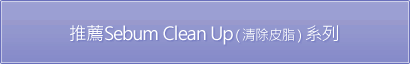 推薦Sebum Clean Up（清除皮脂）系列